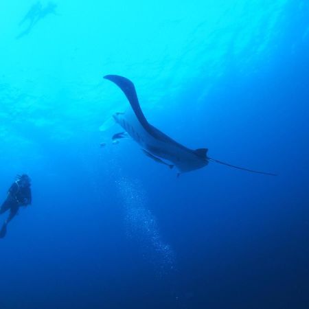 Unwind Dhigurah Ξενοδοχείο Dhigurah  Εξωτερικό φωτογραφία