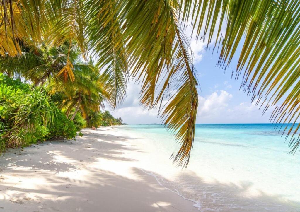 Unwind Dhigurah Ξενοδοχείο Dhigurah  Εξωτερικό φωτογραφία