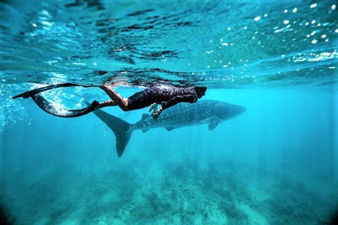 Unwind Dhigurah Ξενοδοχείο Dhigurah  Εξωτερικό φωτογραφία
