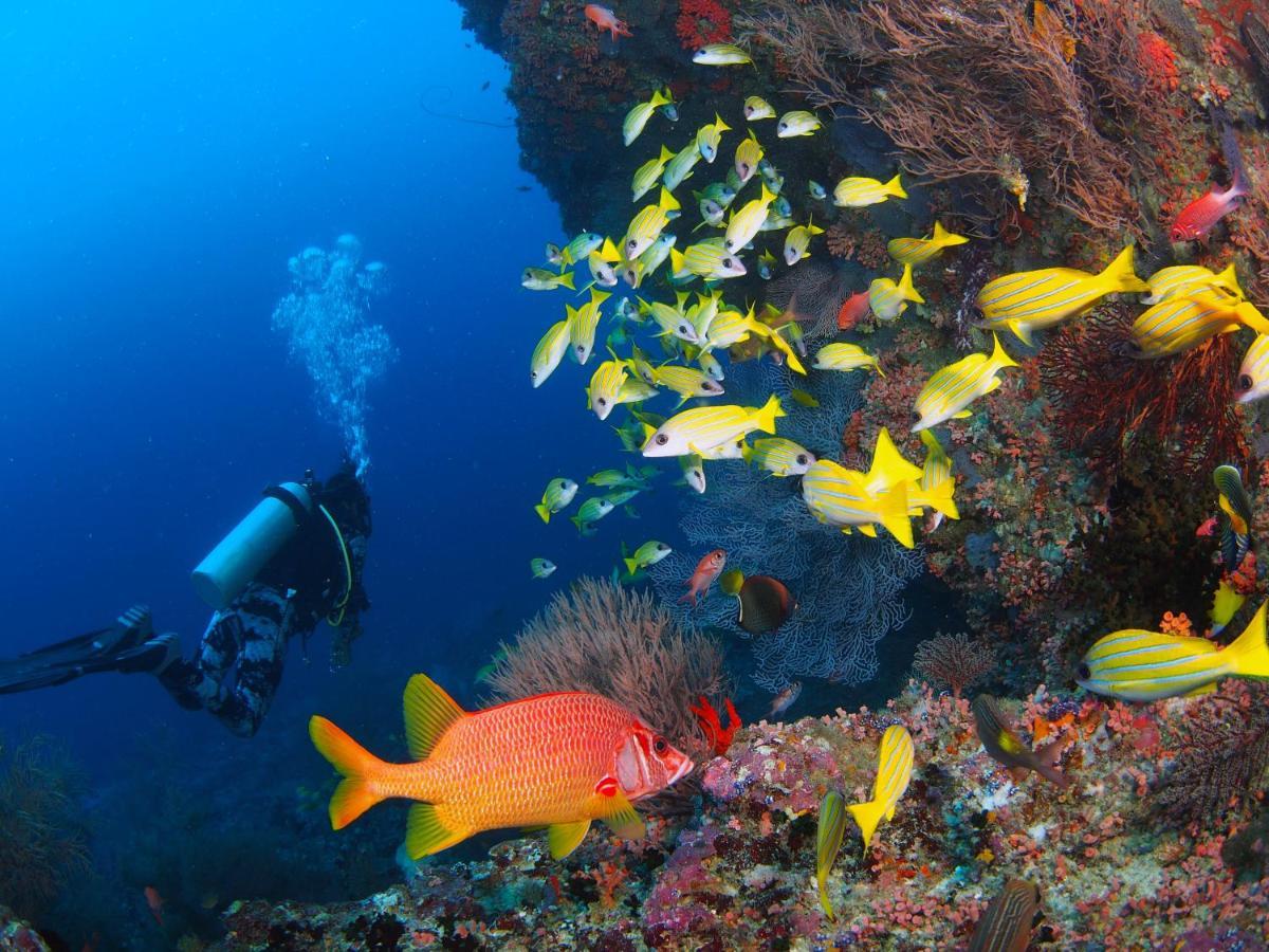 Unwind Dhigurah Ξενοδοχείο Dhigurah  Εξωτερικό φωτογραφία